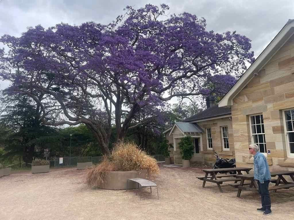 Parramatta Female Factory : Public Day Tour 28th October 2025 Image -69011dce4ba3b