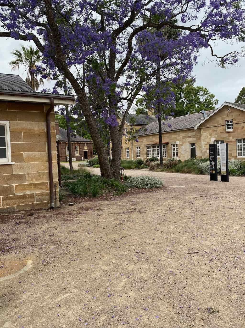 Parramatta Female Factory : Public Day Tour 28th October 2025 Image -69011dee01961