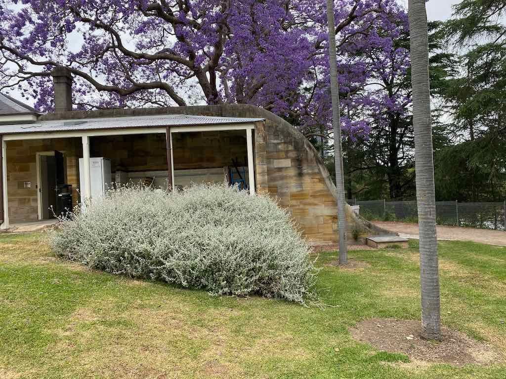 Parramatta Female Factory : Public Day Tour 28th October 2025 Image -69011df0ab558