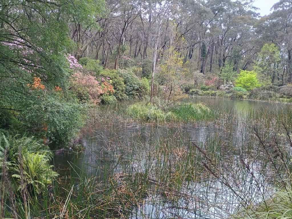 Milthorpe Garden Ramble Image -69142ddb76038