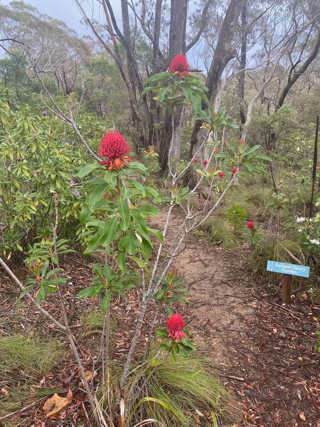 Milthorpe Garden Ramble Image -69142de11d812