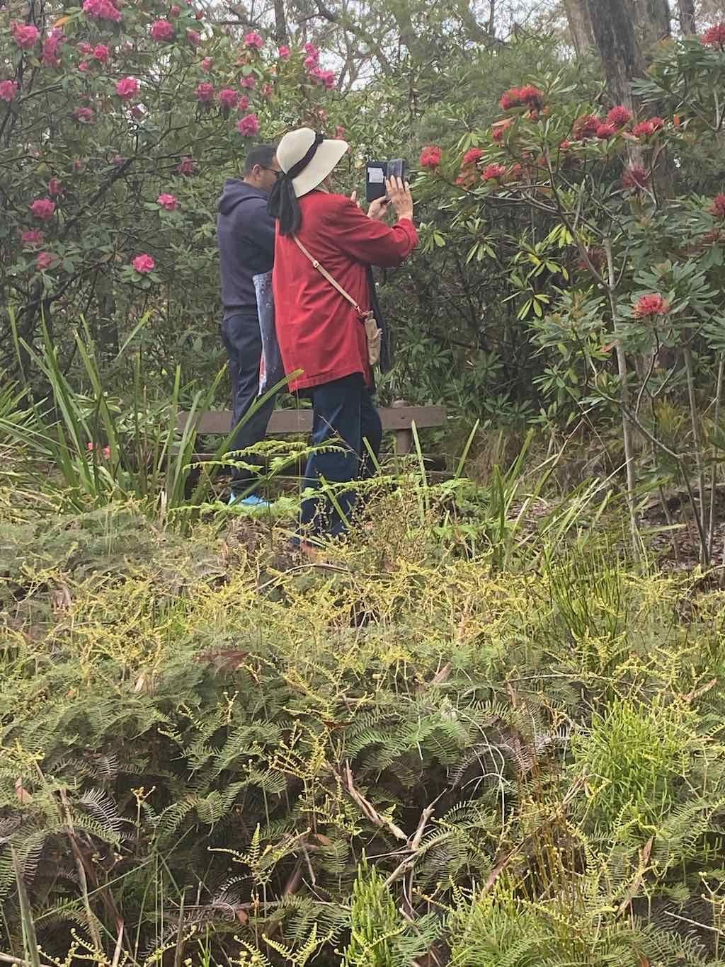 Milthorpe Garden Ramble Image -69142de1da5f5