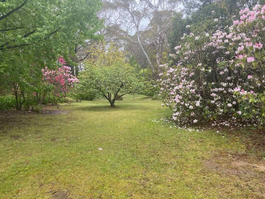 Milthorpe Garden Ramble Image -69142de2cd011