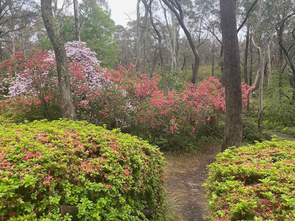 Milthorpe Garden Ramble Image -69142de334ffd