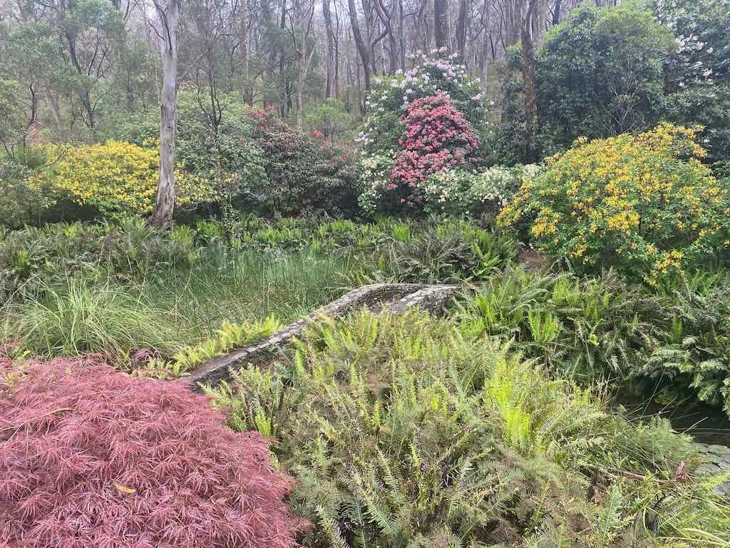 Milthorpe Garden Ramble Image -69142de385b50