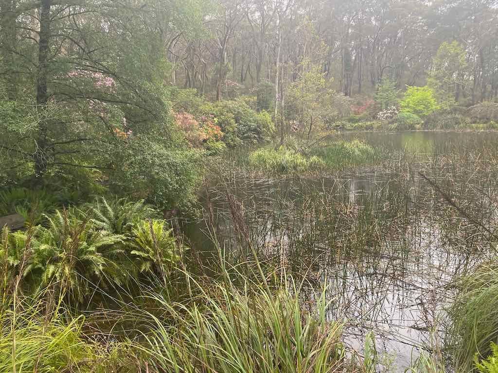 Milthorpe Garden Ramble Image -69142de3d056e