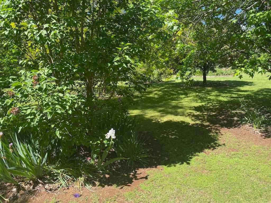 Milthorpe Garden Ramble Image -69142de502e6d