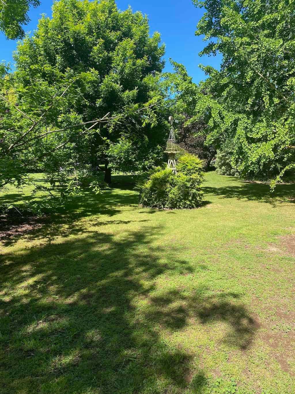 Milthorpe Garden Ramble Image -69142de55df5a