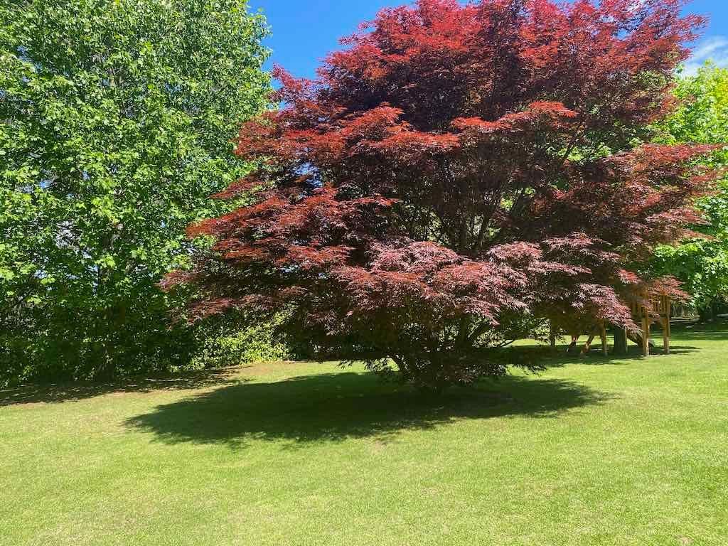 Milthorpe Garden Ramble Image -69142de7d6930