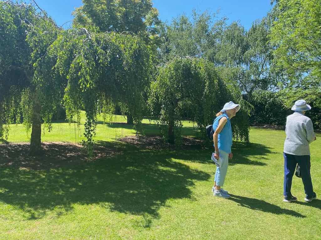 Milthorpe Garden Ramble Image -69142de82d9db