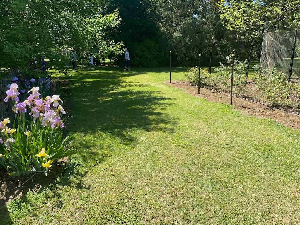 Milthorpe Garden Ramble Image -69142de964547