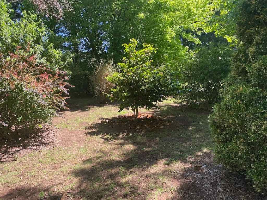 Milthorpe Garden Ramble Image -69142de9a301f