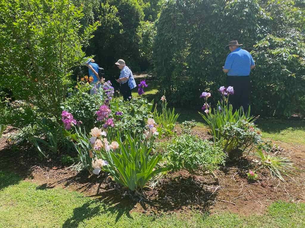 Milthorpe Garden Ramble Image -69142dea496d2