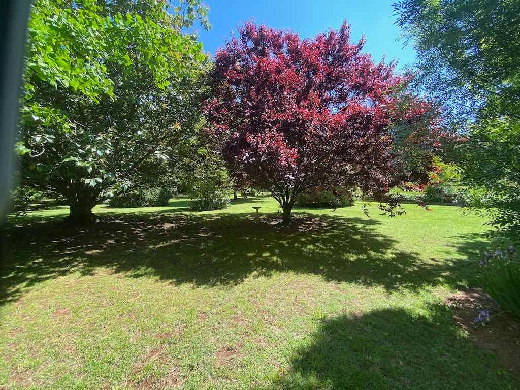 Milthorpe Garden Ramble Image -69142deb76647