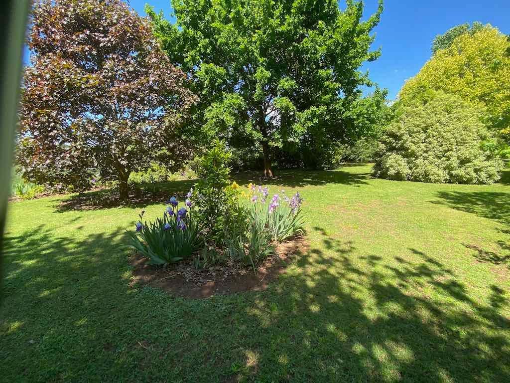 Milthorpe Garden Ramble Image -69142dece205b