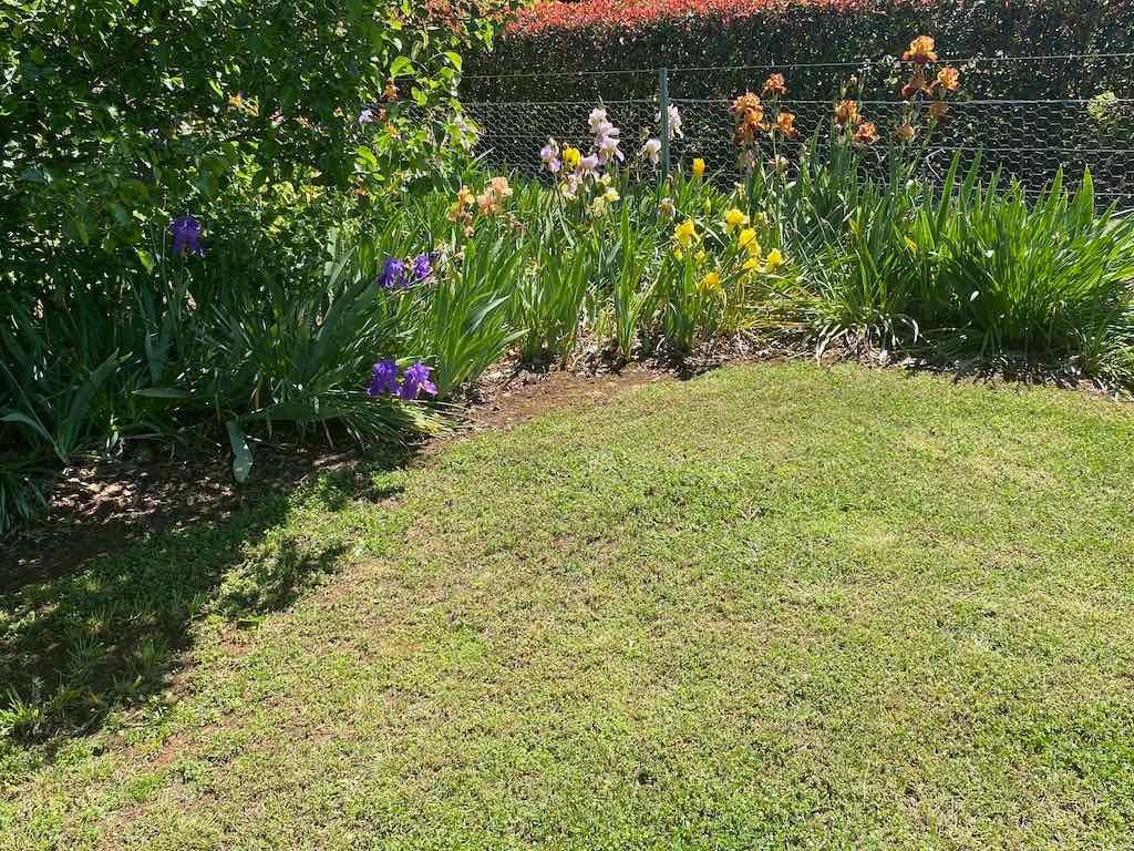 Milthorpe Garden Ramble Image -69142dedd35da