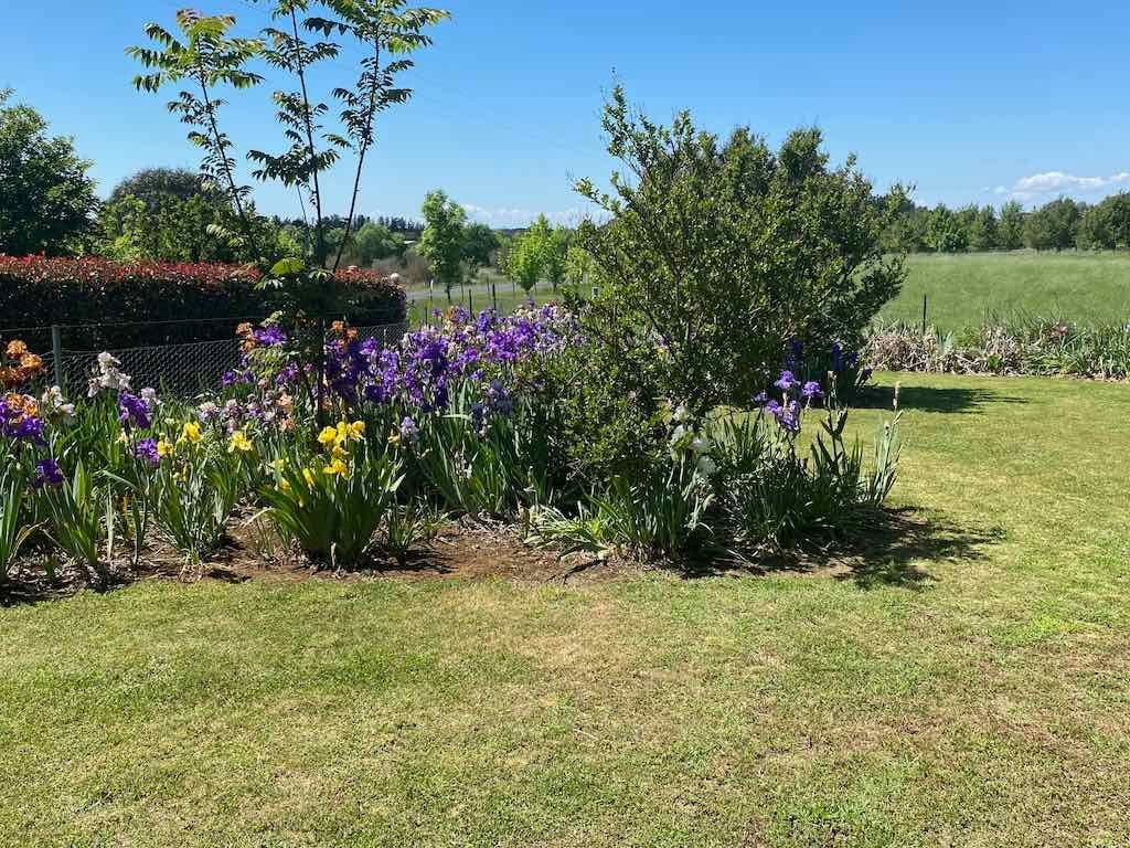 Milthorpe Garden Ramble Image -69142dee23df0