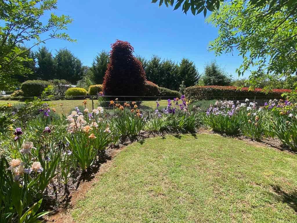 Milthorpe Garden Ramble Image -69142dee7480b