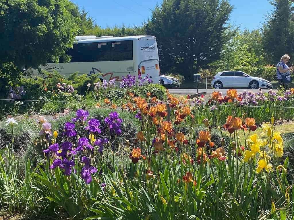 Milthorpe Garden Ramble Image -69142def12d61