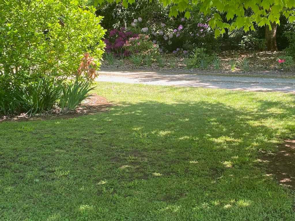 Milthorpe Garden Ramble Image -69142def5669d