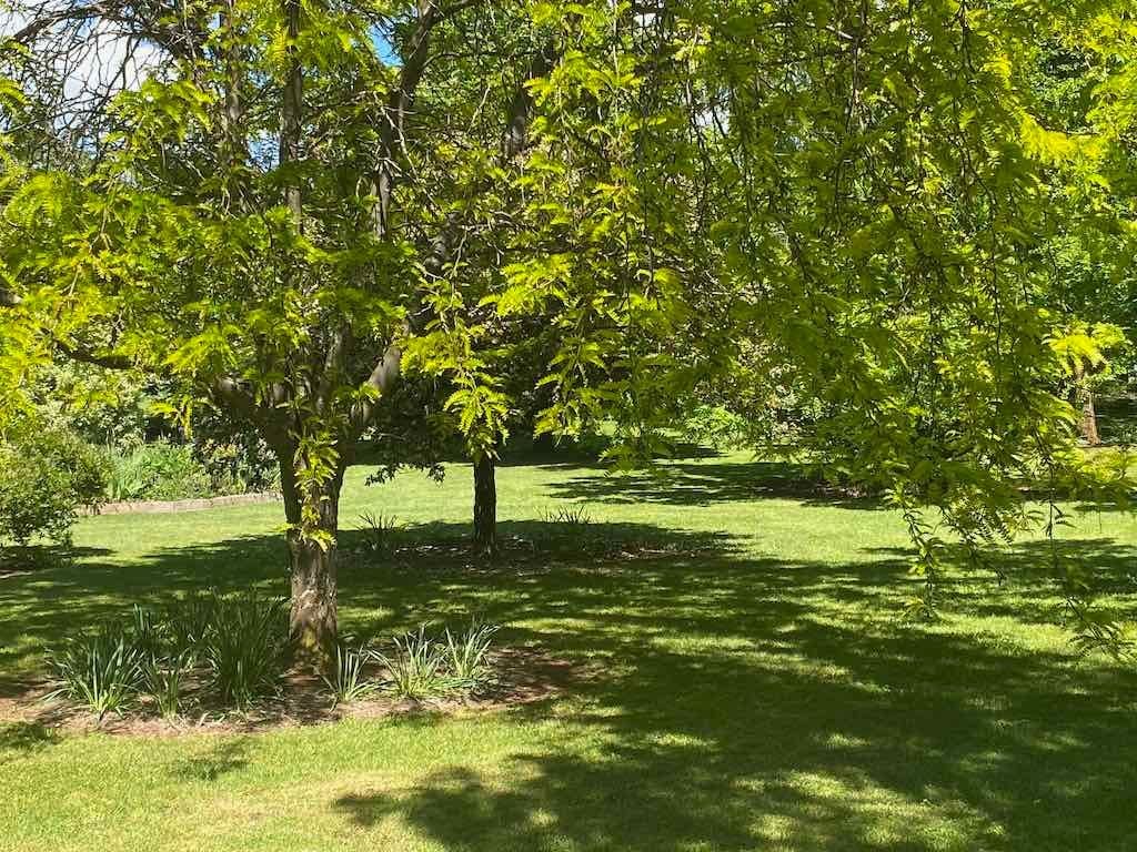 Milthorpe Garden Ramble Image -69142def9c1c0