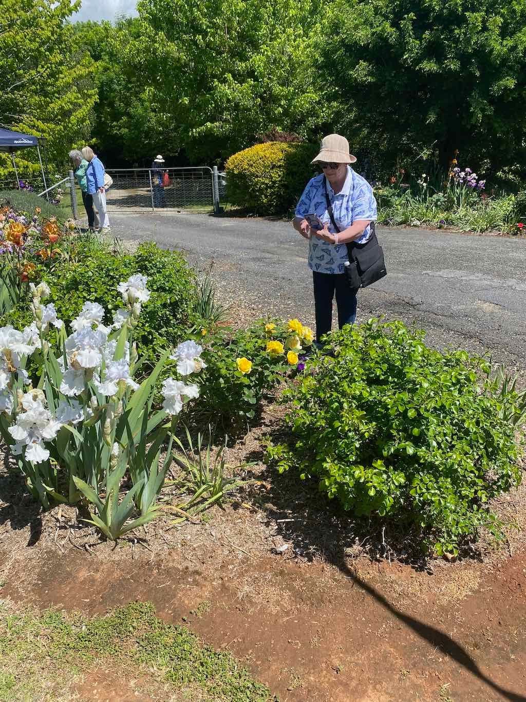 Milthorpe Garden Ramble Image -69142df0474f5