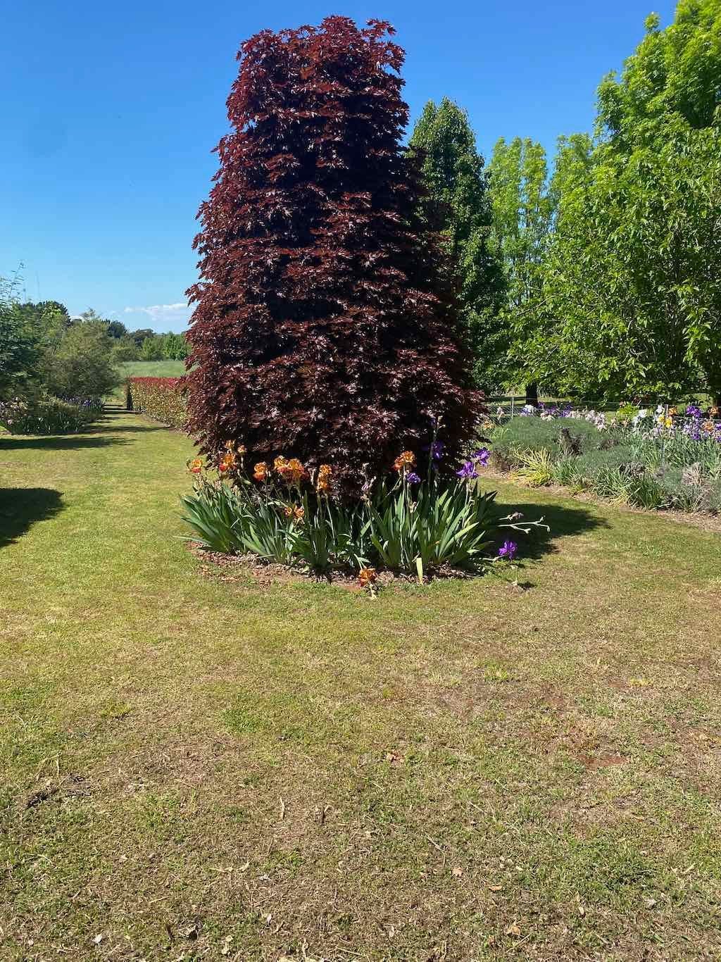 Milthorpe Garden Ramble Image -69142df0a02f3