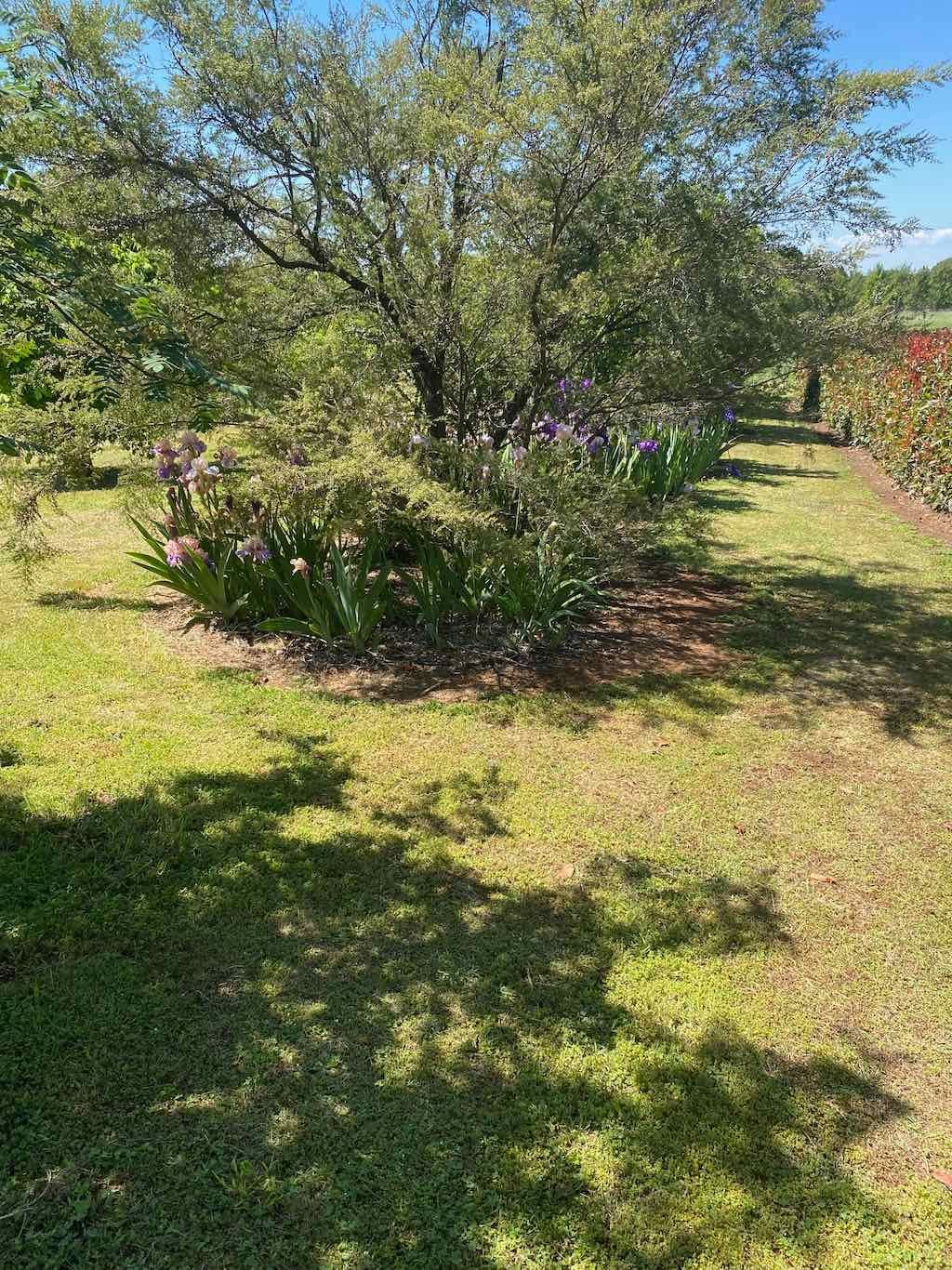 Milthorpe Garden Ramble Image -69142df0ee6bf