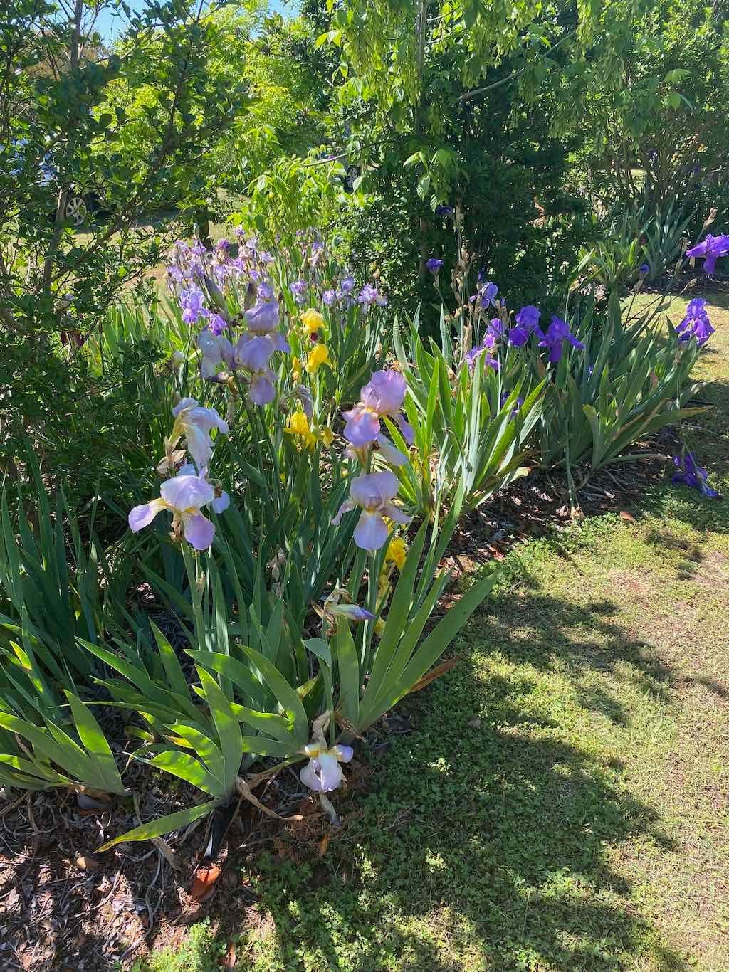 Milthorpe Garden Ramble Image -69142df1ae319