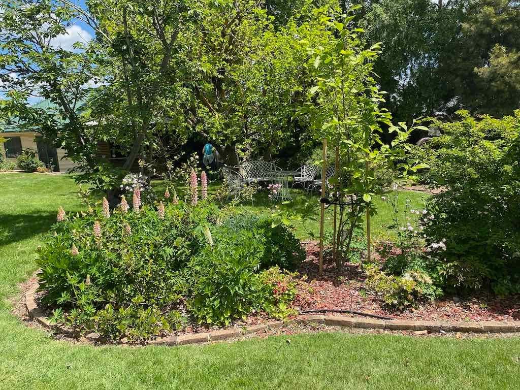 Milthorpe Garden Ramble Image -69142f062d07a