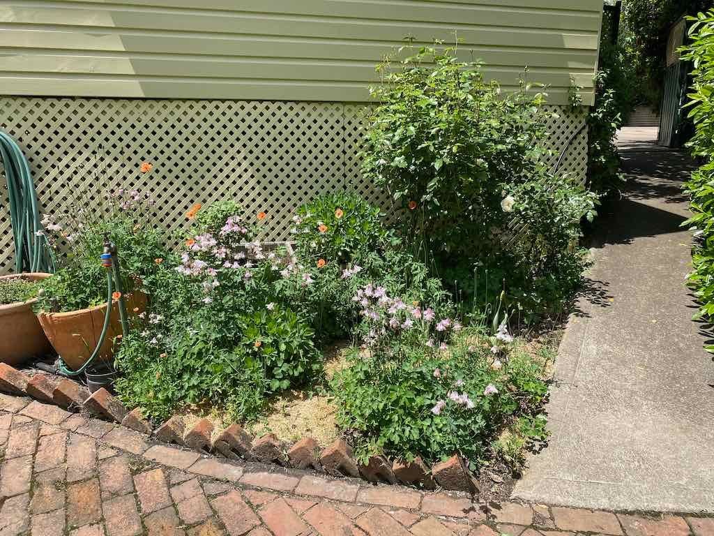 Milthorpe Garden Ramble Image -69142f06b87f6