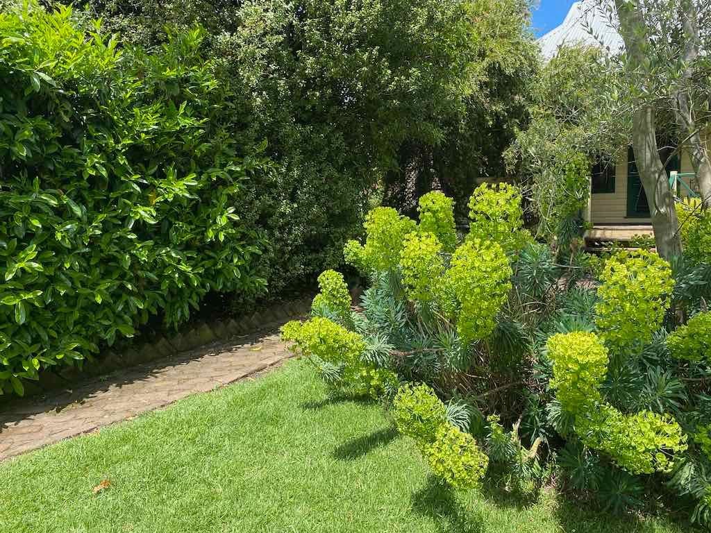 Milthorpe Garden Ramble Image -69142f0715a4c