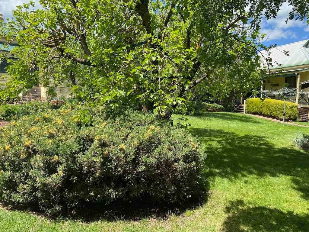 Milthorpe Garden Ramble Image -69142f0959e85