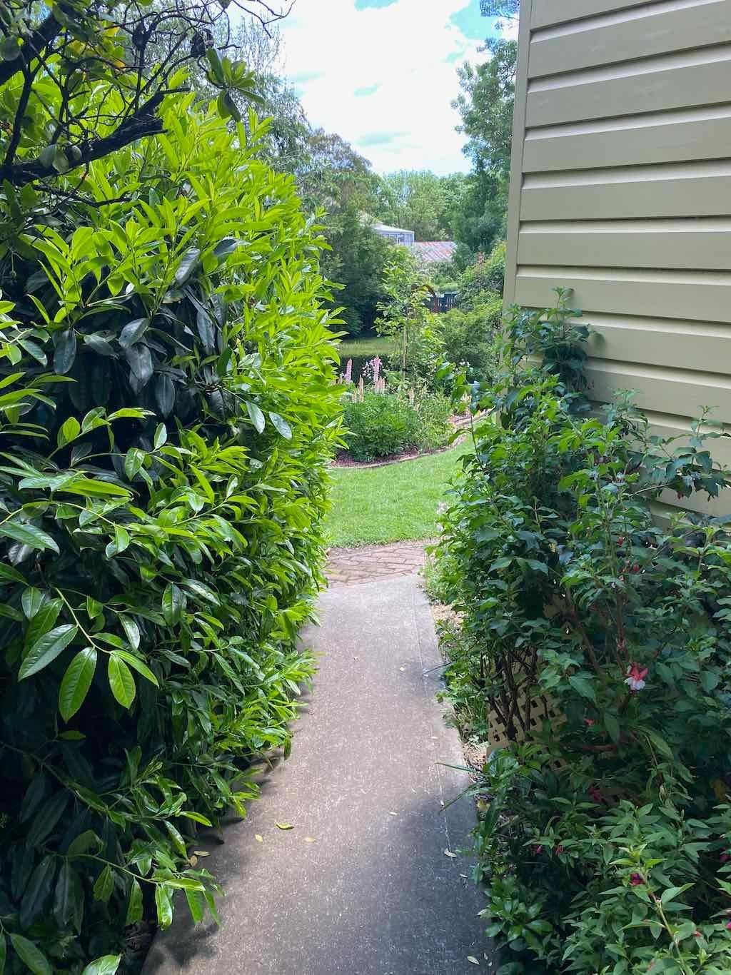 Milthorpe Garden Ramble Image -69142f0d7315c