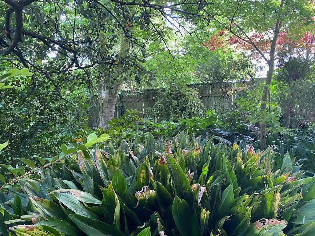 Milthorpe Garden Ramble Image -69142f0dc9f1b