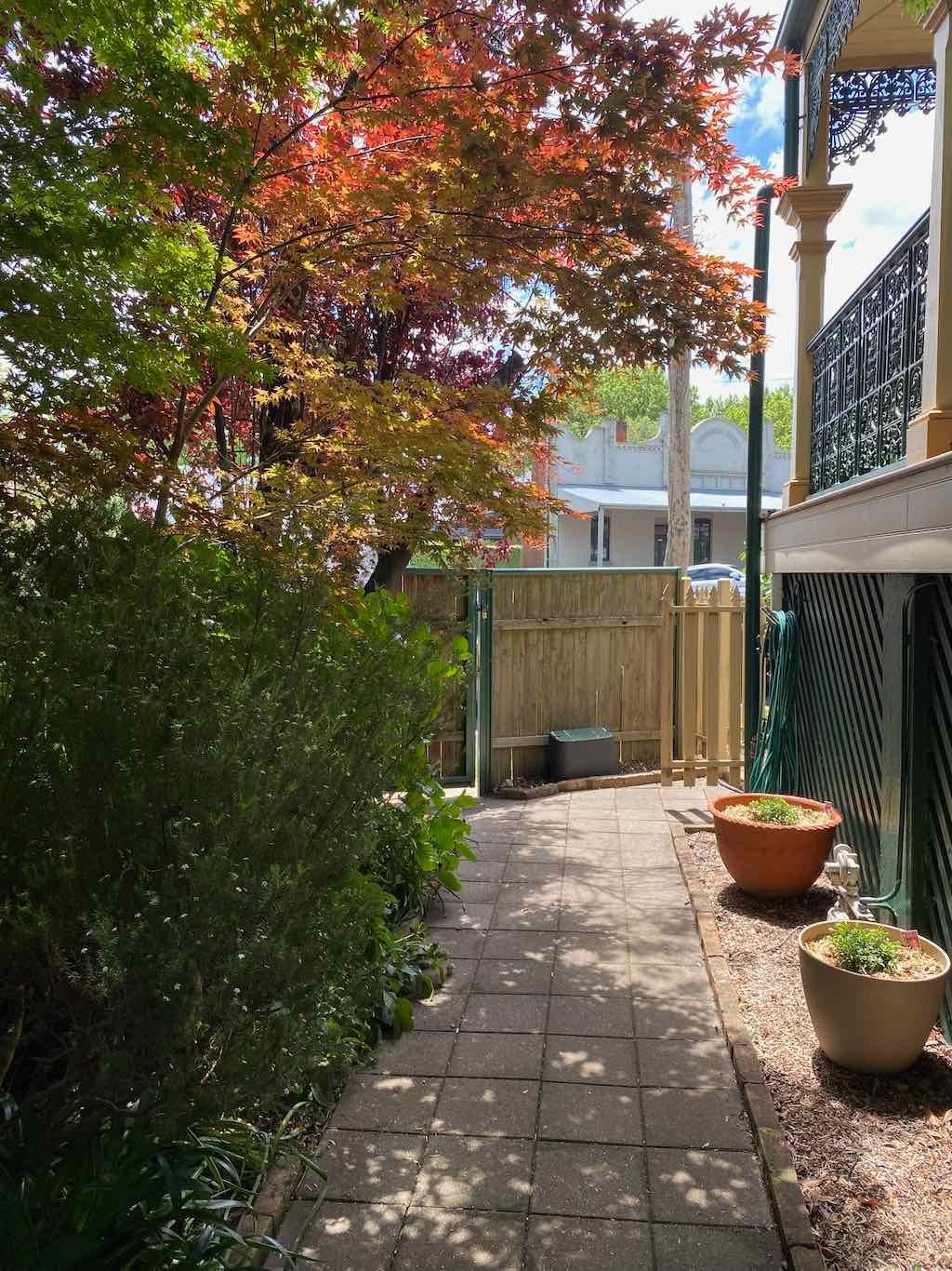 Milthorpe Garden Ramble Image -69142f0e2a6f2