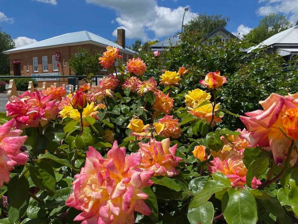 Milthorpe Garden Ramble Image -69142f0faac13