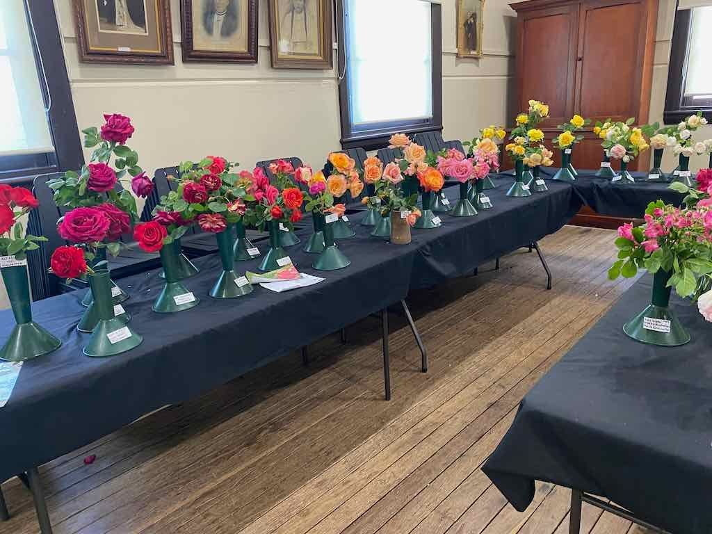 Milthorpe Garden Ramble Image -69142f1218f22