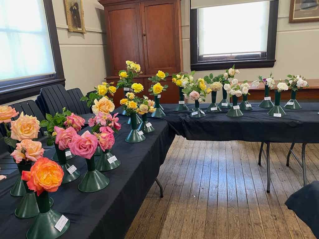 Milthorpe Garden Ramble Image -69142f1259d54