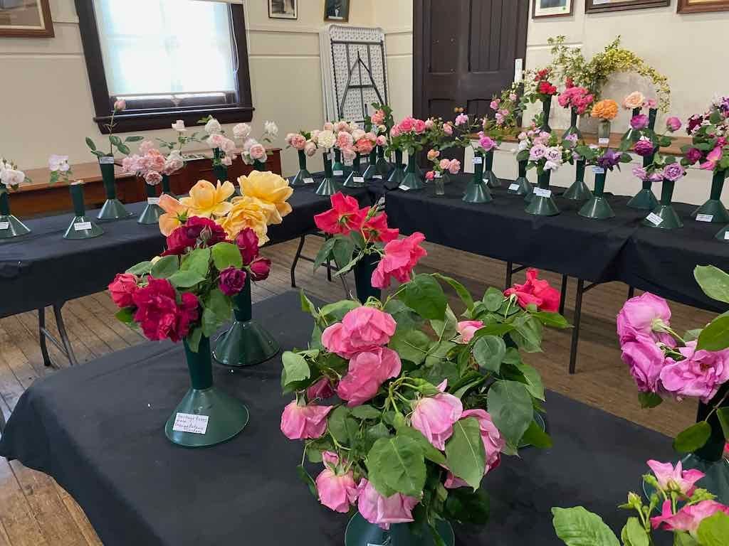 Milthorpe Garden Ramble Image -69142f129f76b