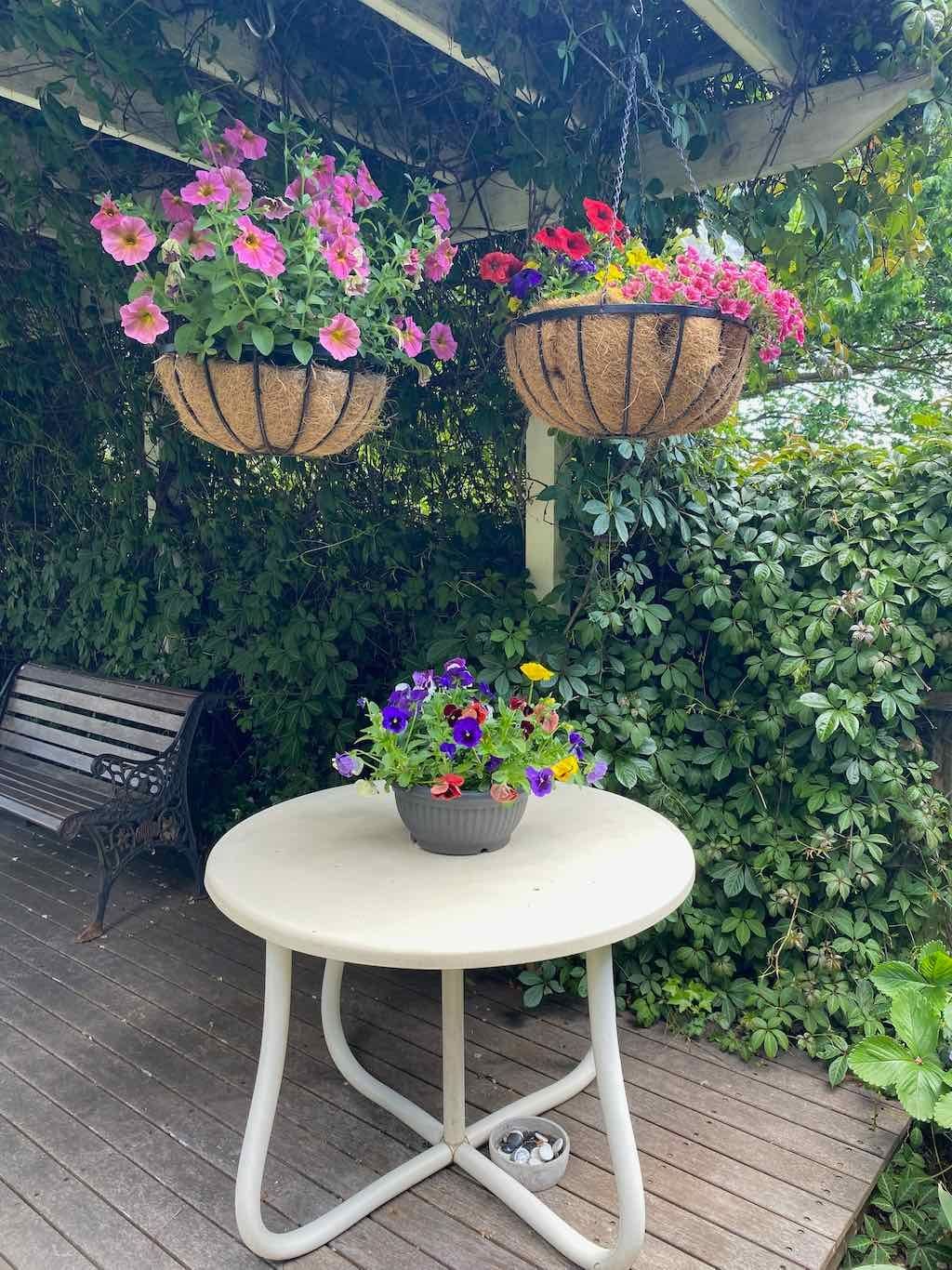 Milthorpe Garden Ramble Image -69142f1b68314