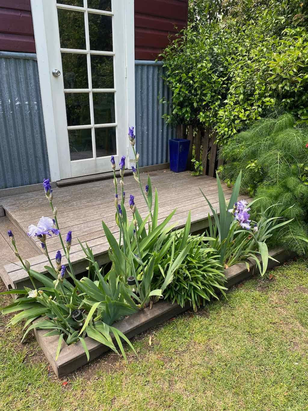 Milthorpe Garden Ramble Image -69142f1bbfb04