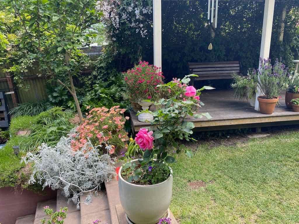 Milthorpe Garden Ramble Image -69142f1c2a55d