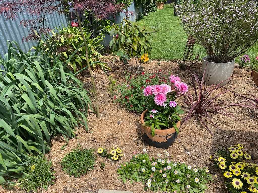 Milthorpe Garden Ramble Image -69142f1d2577d