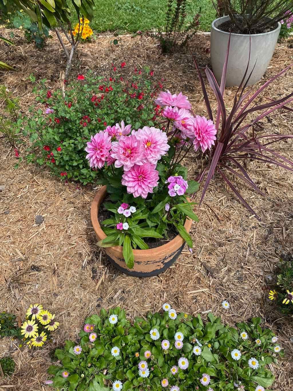 Milthorpe Garden Ramble Image -69142f1d737b6