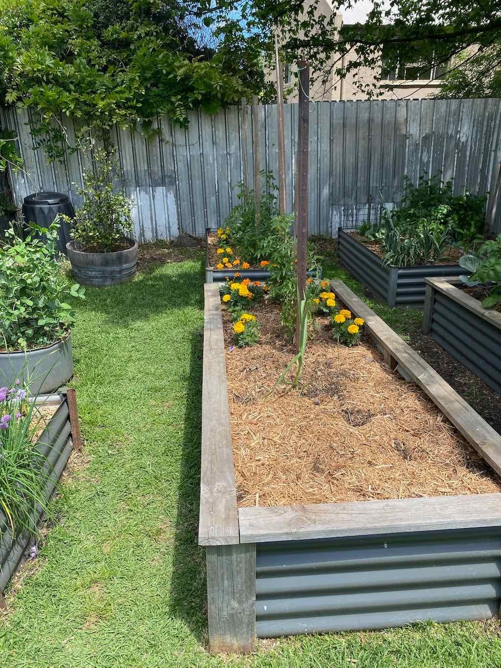 Milthorpe Garden Ramble Image -69142f1e3a729