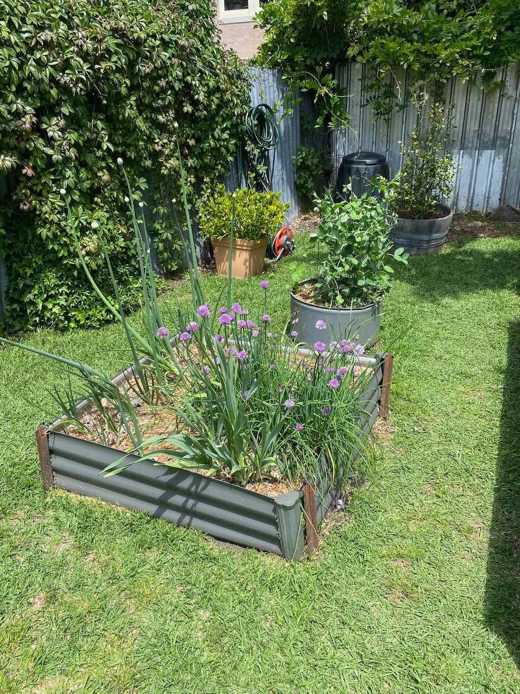 Milthorpe Garden Ramble Image -69142f1e91874