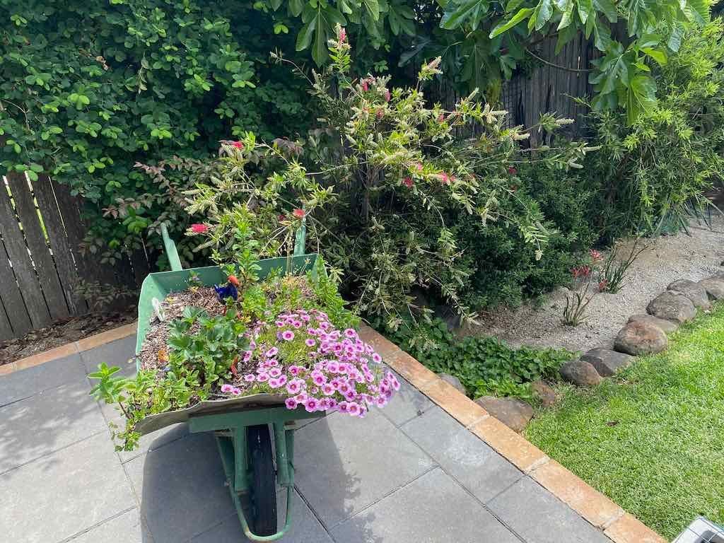 Milthorpe Garden Ramble Image -69142f1f45738