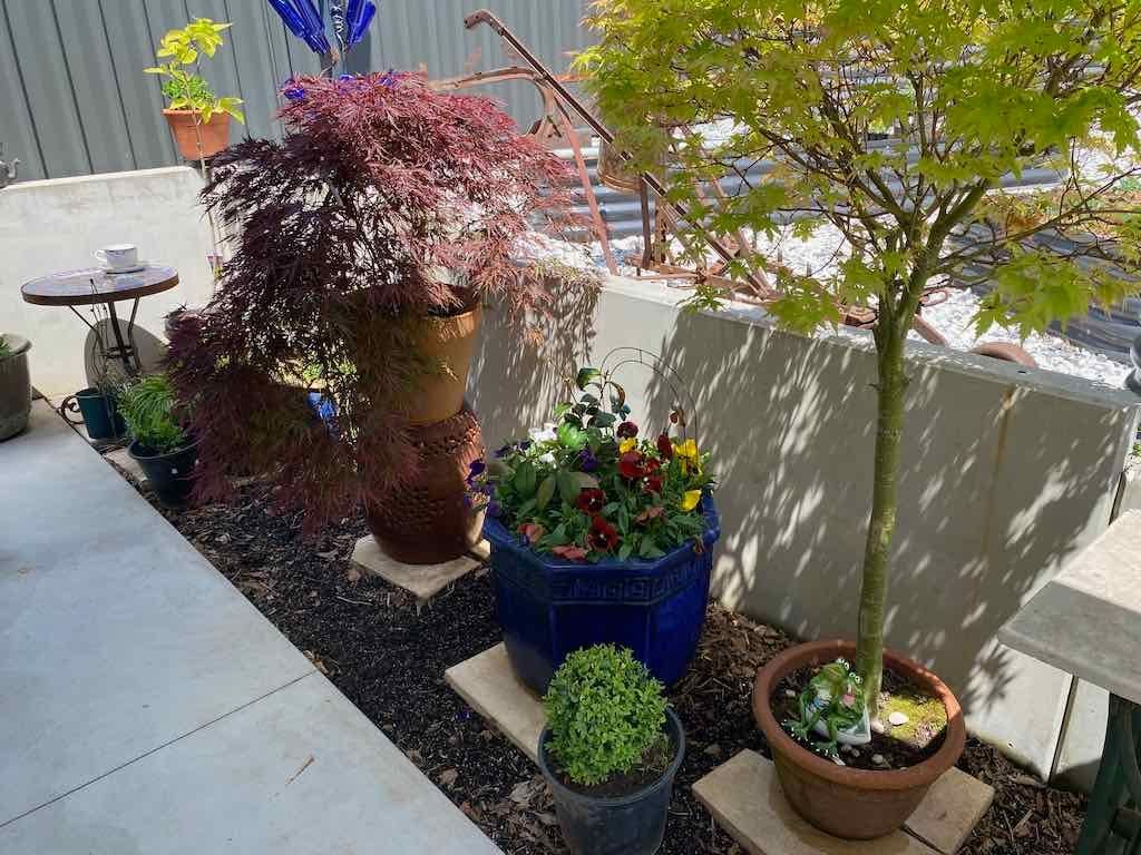 Milthorpe Garden Ramble Image -69142f2398334