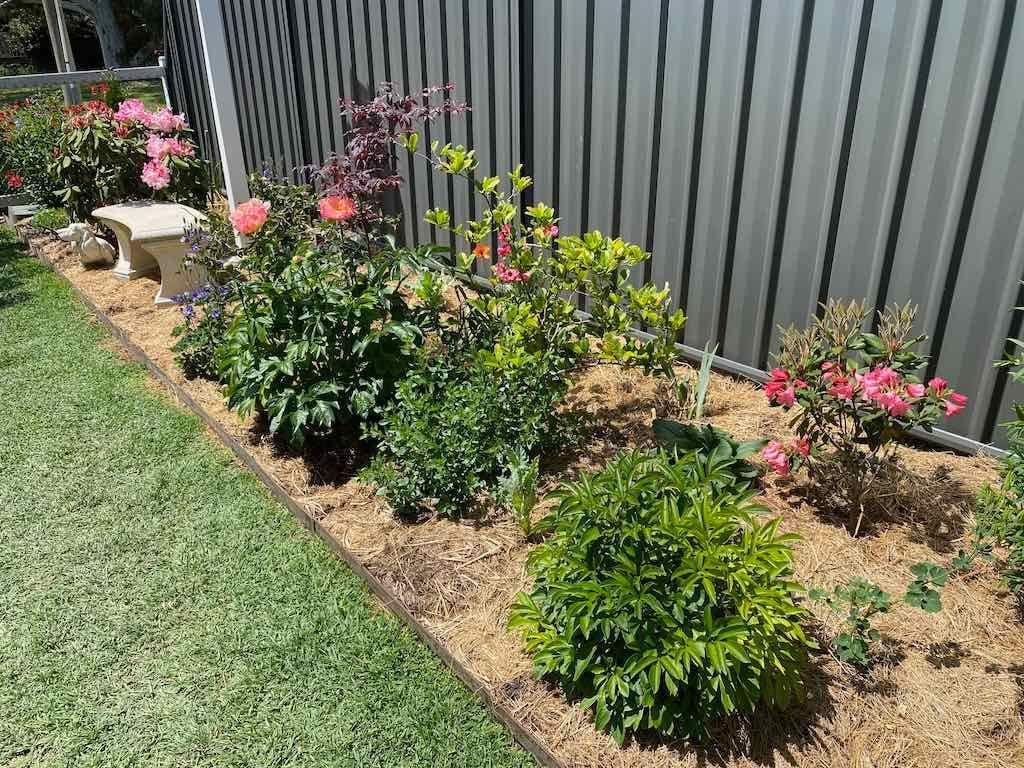 Milthorpe Garden Ramble Image -69142f248bac8